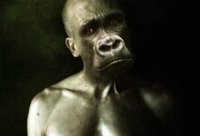 maymun-insan