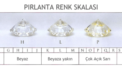 pirlantarenk1