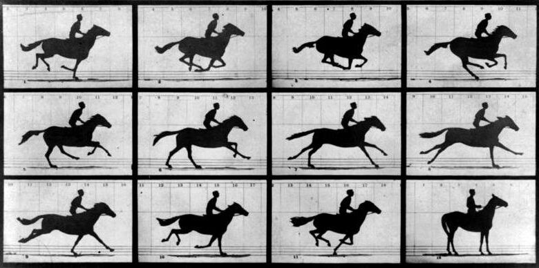 25. Kare Tekniği Nedir? Nasıl Uygulanır? 1 Eadweard Muybridge galloping Horse