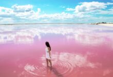 Las Coloradas Pink Lake