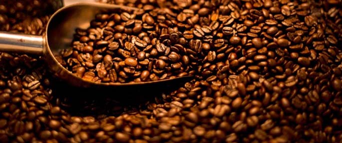  Kahve Hakkında Zihin Açıcı 15 Bilgi
