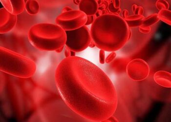 blood 2 1068x534