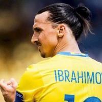 zlatan 31