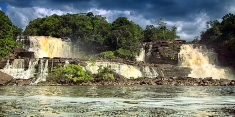latin guzeli venezuela