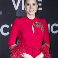 Amy Adams Foto Galeri 2019 1