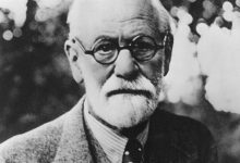 freud 24