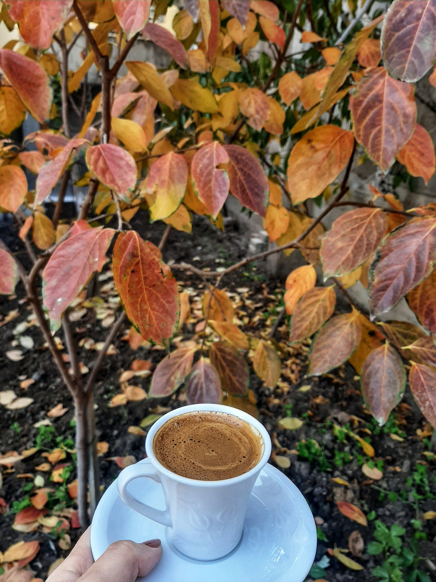 Кофе осенью