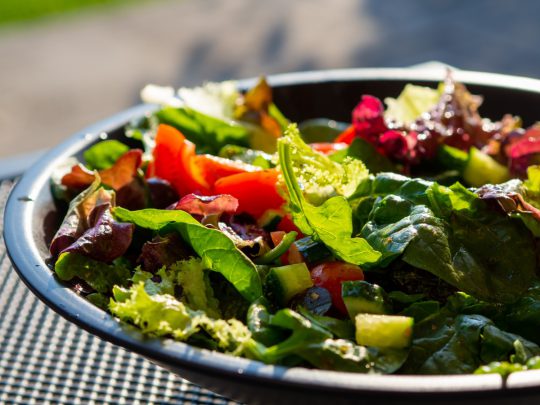 kolay vegan tarifler salata