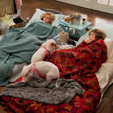 Grace and Frankie Dizisi Konusu ve Oyuncuları 4 Grace and Frankie dizisi