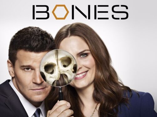 Uzun Soluklu En İyi Yabancı Dizi Önerileri 6 bones 5 685x513