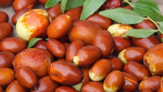 Hünnap Nedir? Faydaları Nelerdir? 3 hunnap 2