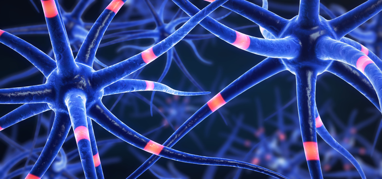 Epilepsi (Sara) Nedir? Belirtileri ve Nedenleri Nelerdir? 3 epilepsi