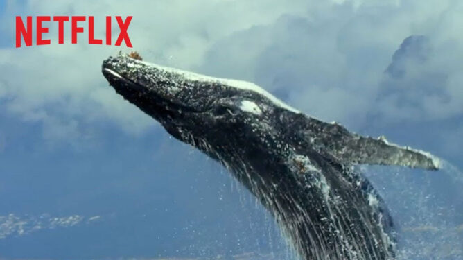 Netflix'te Ücretsiz İzleyebileceğiniz Dizi ve Filmler 11 Netflix'te Ücretsiz İzleyebileceğiniz 10 Dizi ve Film