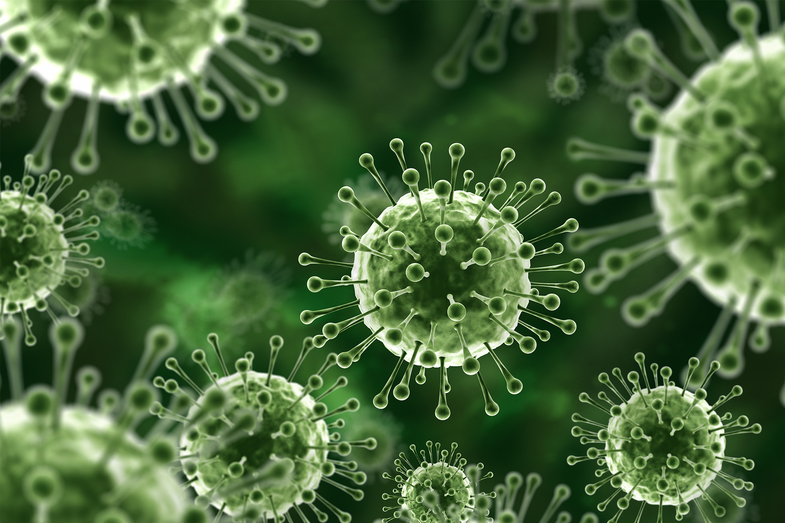 Nipah Virüsü Nedir? Belirtileri Nelerdir? 2 nipah virüsü