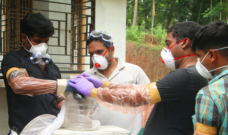 Nipah Virüsü Nedir? Belirtileri Nelerdir? 3 nipah virüsü