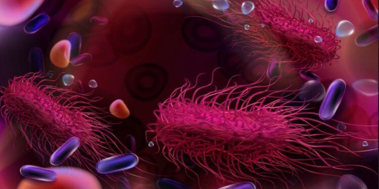 salmonella virusu one cikan