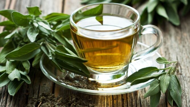 Ramazan’ı Rahat Geçirmeyi Sağlayan 5 Bitki Çayı 2 bitki çayları