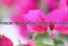 ramazan bayrami mesajlari resimli 7