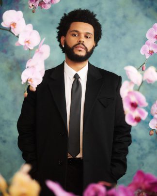 the weeknd 1
