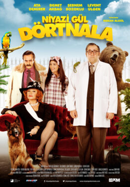 Niyazi Gül Dört Nala Film Konusu ve Oyuncuları 2 niyazi gul dort nala film konusu 1
