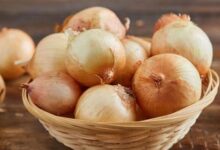 soganin 9 faydasi one cikan