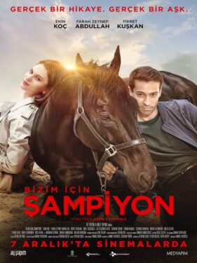 En İyi 7 Yarış Filmi 4 En iyi yaris filmleri3