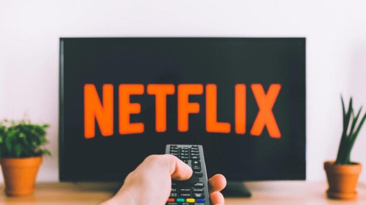 Netflix Şubat 2022 Takvimi