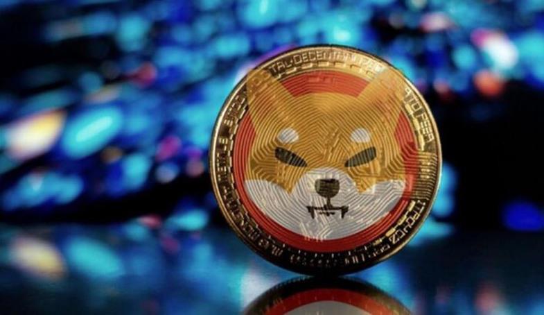 Shiba Coin (Shiba Inu) Nedir? Nereden Alınır? - MaksatBilgi