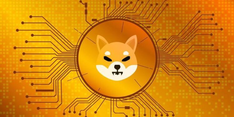 shiba coin one cikan