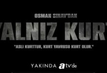 yalniz kurt dizi konusu 1