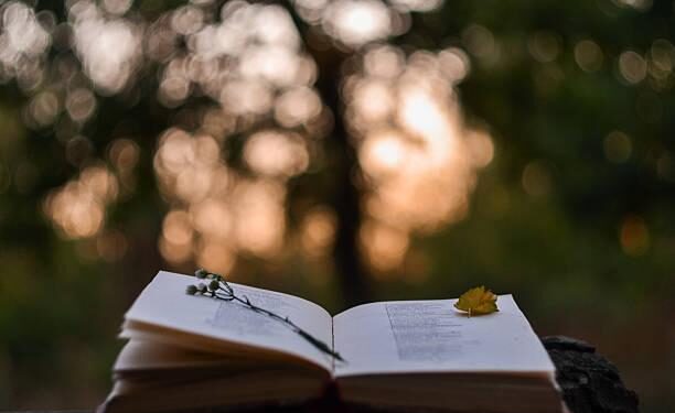 Poetry book in front of blurred sunset background