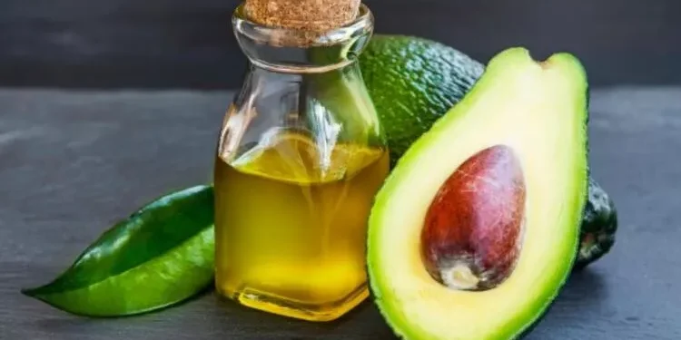 avokado yagi nedir faydalari nelerdir4