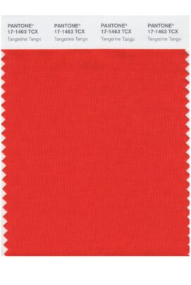 pantone renkleri 4