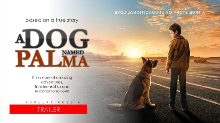 a dog named palma filmi konusu ve oyunculari2