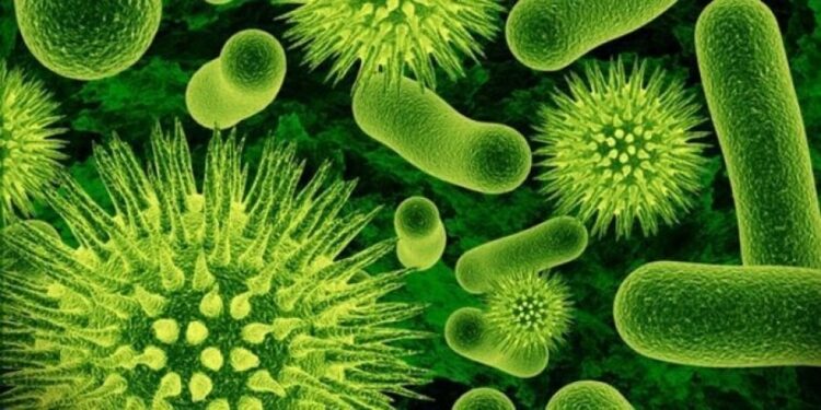 Basilli Dizanteri Hastalığı Nedir, Tedavisi Nasıl Yapılır? 3 basilli dizanteri hastaligi nedir tedavisi nasil yapilir2