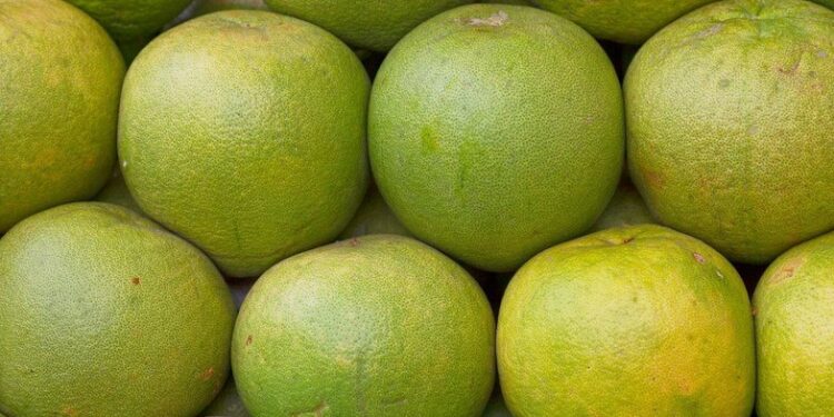 pomelo meyvesi 1