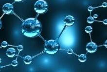 Prostaglandin