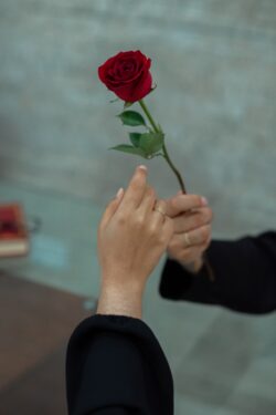 Erkekleri Peşinden Koşturmak için 7 Etkili Yöntem 6 Erkekleri Peşinden Koşturmak için 7 Etkili Yöntem