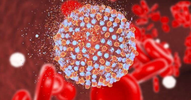 hepatit c nedir nasil bulasir4