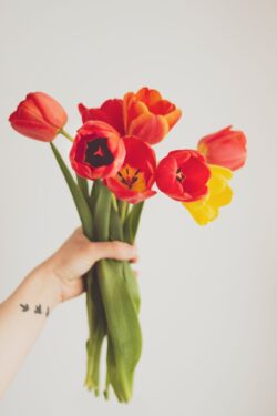 Çiçeklerin Anlamları Nelerdir? 10 Çiçek ve Anlamı 3 Çiçeklerin Anlamları Nelerdir? 10 Çiçek ve Anlamı
