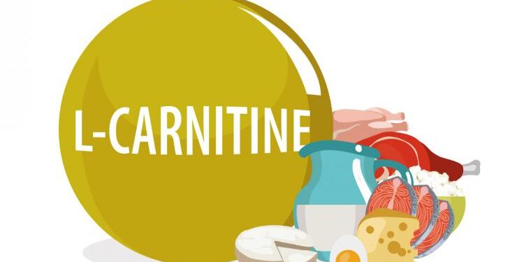karnitin 3