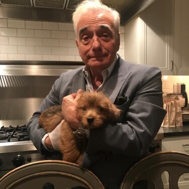 Oscar’lı Yönetmen Martin Scorsese’in En İyi 10 Filmi 7 Oscar’lı Yönetmen Martin Scorsese’in En İyi 10 Filmi