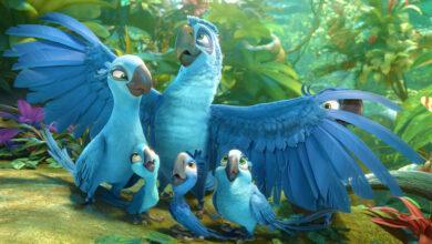 rio 2 filmi 2