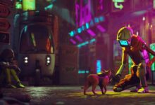 stray 1