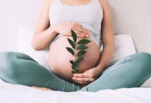 hamilelikte dogru bilinen yanlislar 2