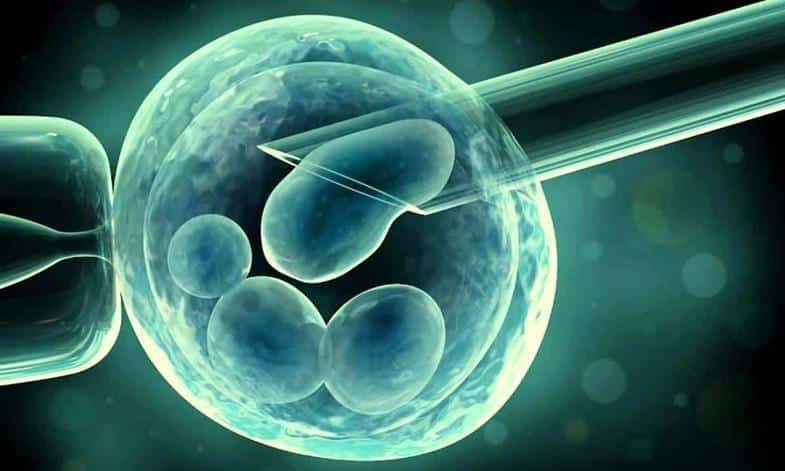 Doğum Öncesi Genetik Tanı Testi İle İlgili Merak Edilen Sorular! 2 Doğum Öncesi Genetik Tanı Testi İle İlgili Merak Edilen Sorular!