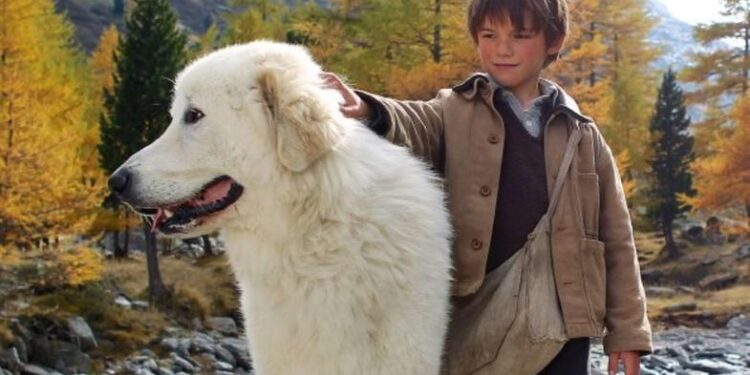 belle ve sebastien filmi 2