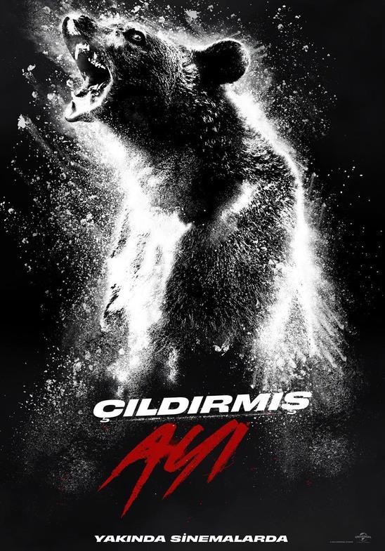 Çıldırmış Ayı Film Konusu ve Oyuncuları 2 Çıldırmış ayı filmi