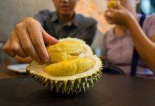 durian meyvesi nedir 4