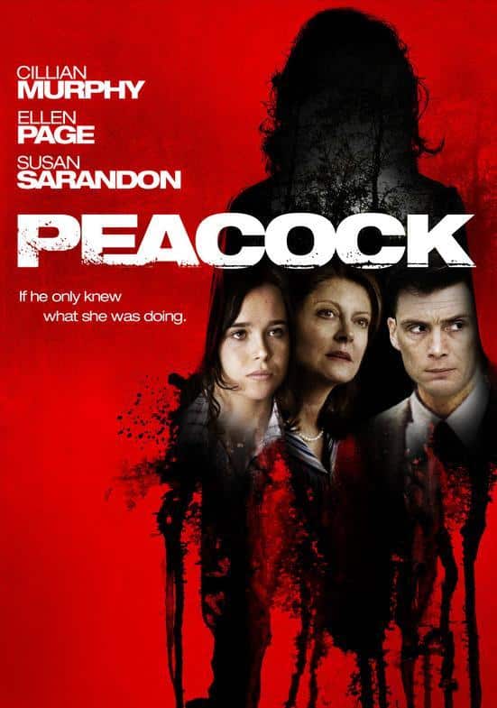 Kasabadaki Sır Film Konusu ve Oyuncuları 2 Kasabadaki Sır